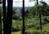 A stunning circular walk from Wardour Castle | 8.3 miles