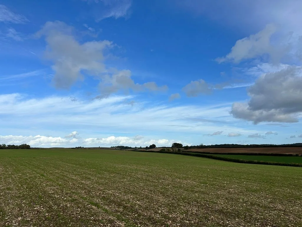 New Dorset County Show ground

