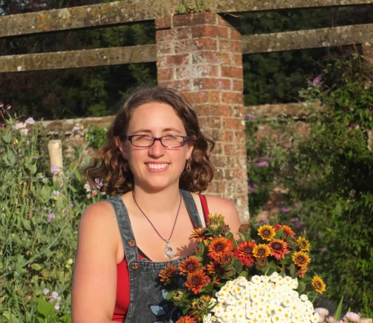 From brambles to blooms – Ella’s blooming lovely garden