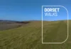 West Wiltshire Downs circular walk – Mere and the Deverills | 12.5 miles